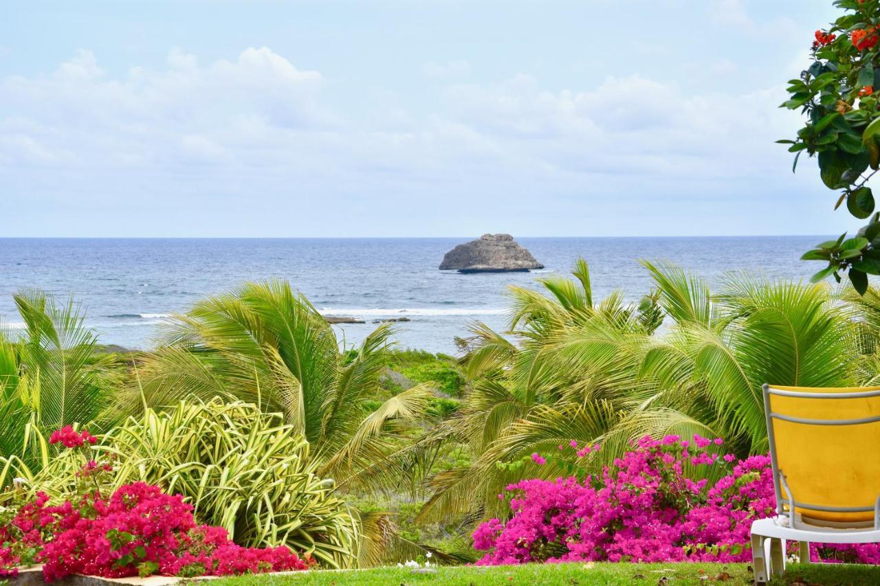 Villa Guadeloupe Saint François Accès Mer Piscine IGUANA BAY - Villa Zagadi Exterior foto