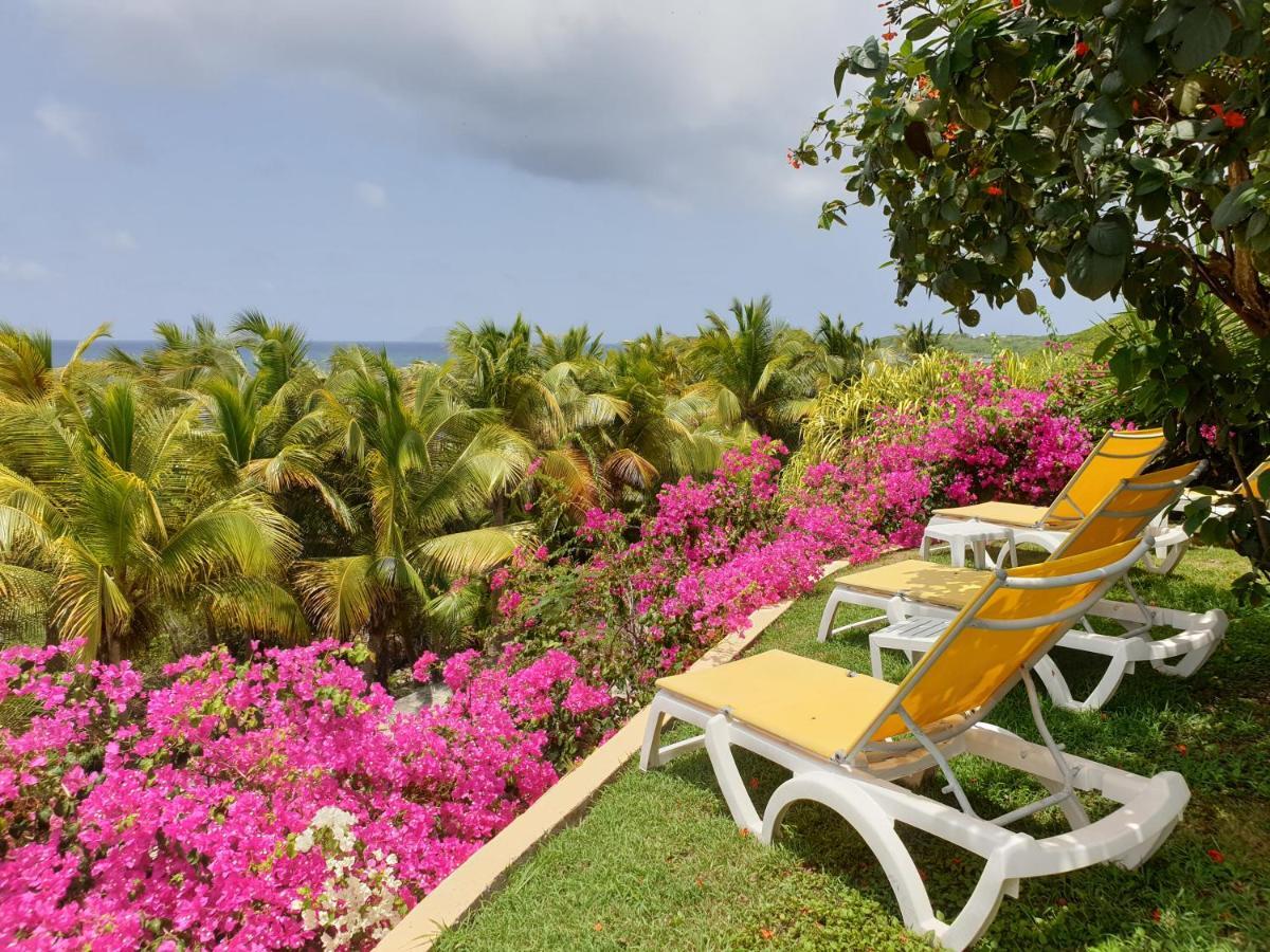 Villa Guadeloupe Saint François Accès Mer Piscine IGUANA BAY - Villa Zagadi Exterior foto