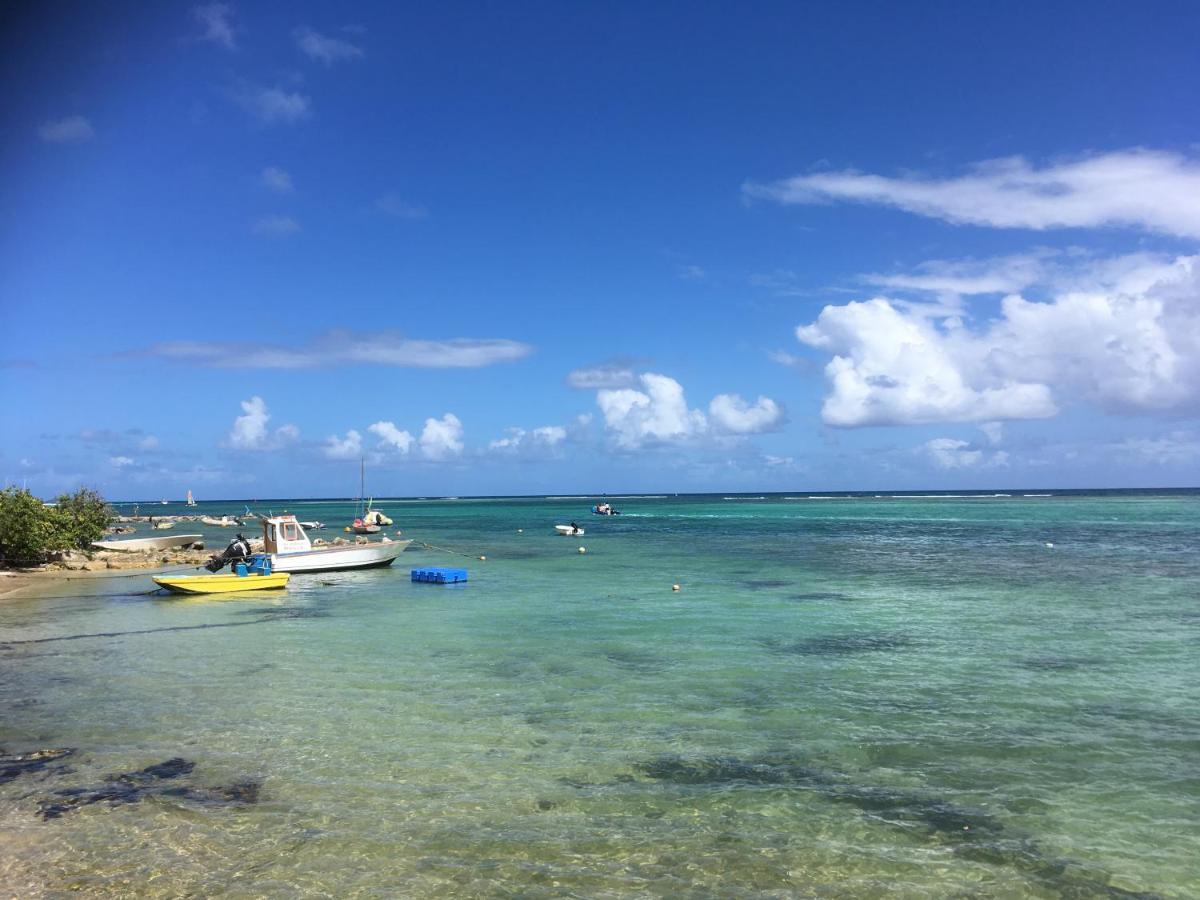 Villa Guadeloupe Saint François Accès Mer Piscine IGUANA BAY - Villa Zagadi Exterior foto