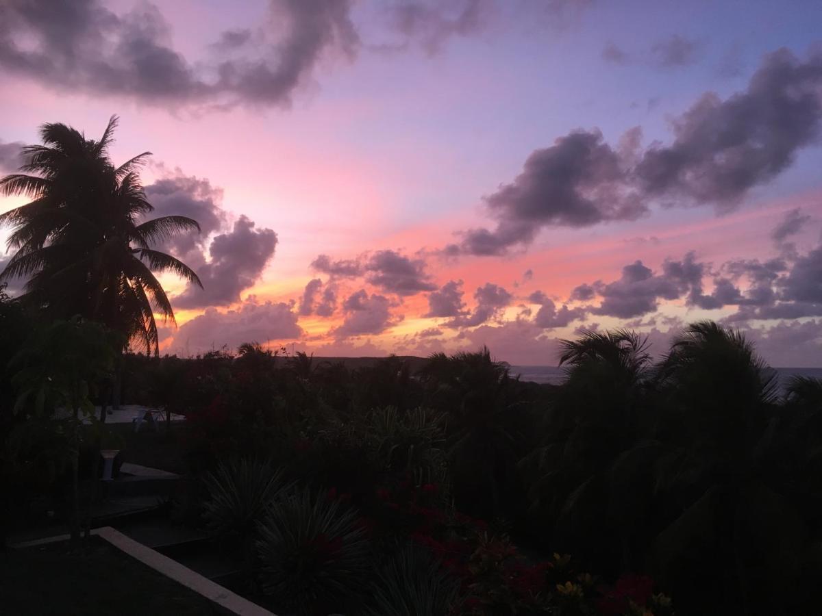 Villa Guadeloupe Saint François Accès Mer Piscine IGUANA BAY - Villa Zagadi Exterior foto